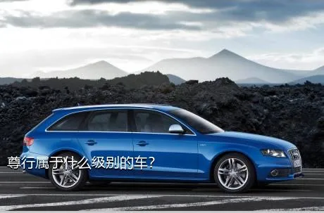 尊行属于什么级别的车？