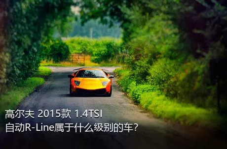 高尔夫 2015款 1.4TSI 自动R-Line属于什么级别的车？