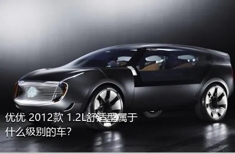 优优 2012款 1.2L舒适型属于什么级别的车？