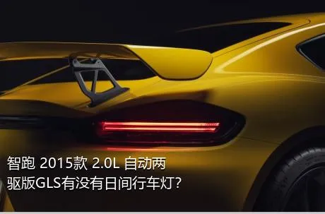 智跑 2015款 2.0L 自动两驱版GLS有没有日间行车灯？