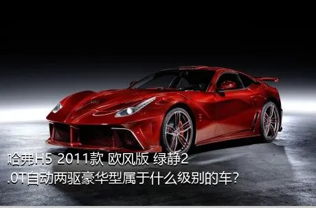 哈弗H5 2011款 欧风版 绿静2.0T自动两驱豪华型属于什么级别的车？