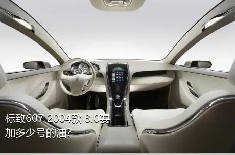 标致607 2004款 3.0要加多少号的油？