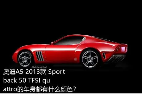 奥迪A5 2013款 Sportback 50 TFSI quattro的车身都有什么颜色？