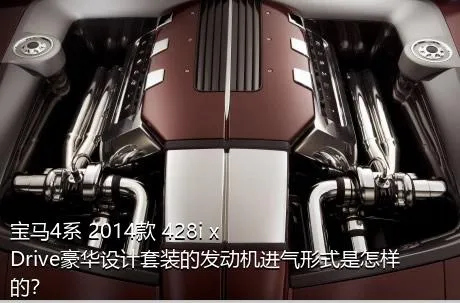 宝马4系 2014款 428i xDrive豪华设计套装的发动机进气形式是怎样的？