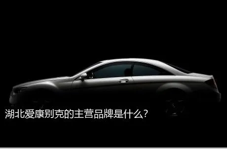 湖北爱康别克的主营品牌是什么？