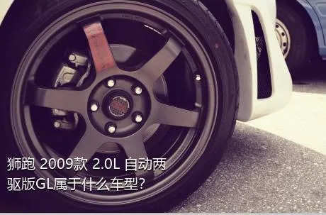 狮跑 2009款 2.0L 自动两驱版GL属于什么车型？