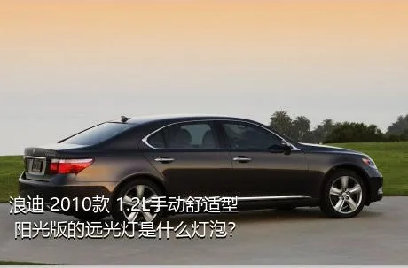 浪迪 2010款 1.2L手动舒适型 阳光版的远光灯是什么灯泡？
