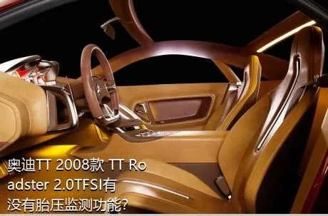 奥迪TT 2008款 TT Roadster 2.0TFSI有没有胎压监测功能？