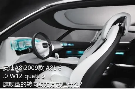 奥迪A8 2009款 A8L 6.0 W12 quattro 旗舰型的转向助力方式是什么？