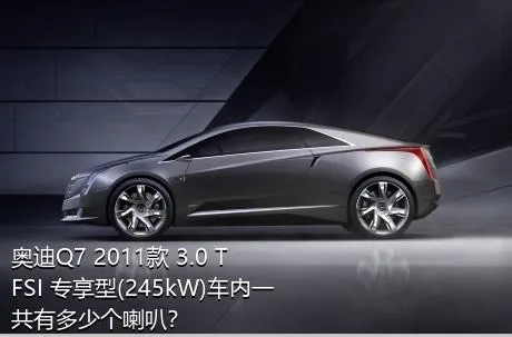 奥迪Q7 2011款 3.0 TFSI 专享型(245kW)车内一共有多少个喇叭？