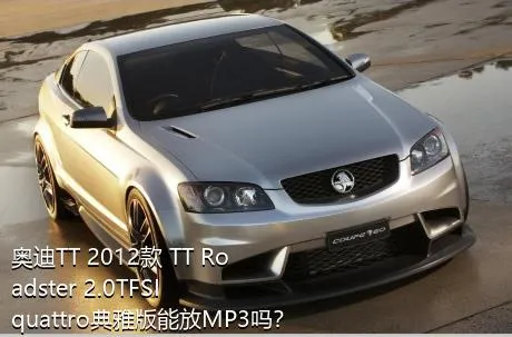奥迪TT 2012款 TT Roadster 2.0TFSI quattro典雅版能放MP3吗？