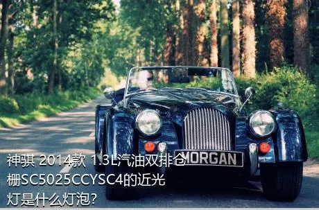 神骐 2014款 1.3L汽油双排仓栅SC5025CCYSC4的近光灯是什么灯泡？