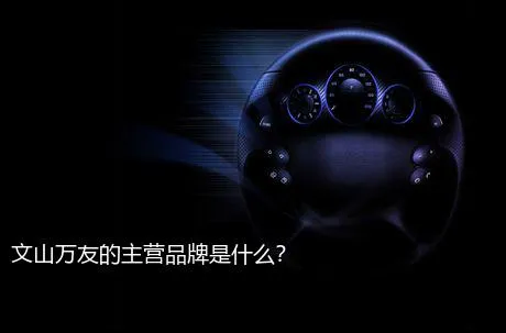 文山万友的主营品牌是什么？