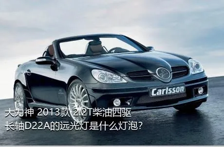 大力神 2013款 2.2T柴油四驱长轴D22A的远光灯是什么灯泡？