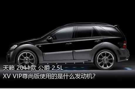 天籁 2011款 公爵 2.5L XV VIP尊尚版使用的是什么发动机？