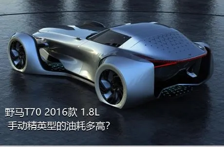 野马T70 2016款 1.8L 手动精英型的油耗多高？