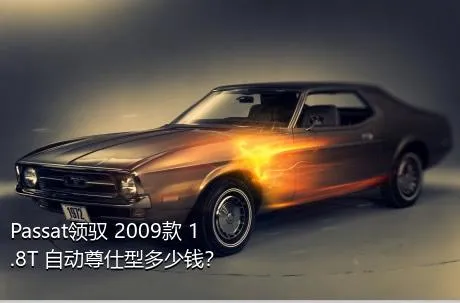 Passat领驭 2009款 1.8T 自动尊仕型多少钱？