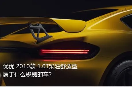 优优 2010款 1.0T柴油舒适型属于什么级别的车？