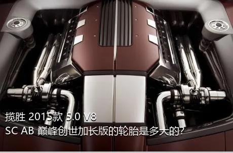 揽胜 2015款 5.0 V8 SC AB 巅峰创世加长版的轮胎是多大的？
