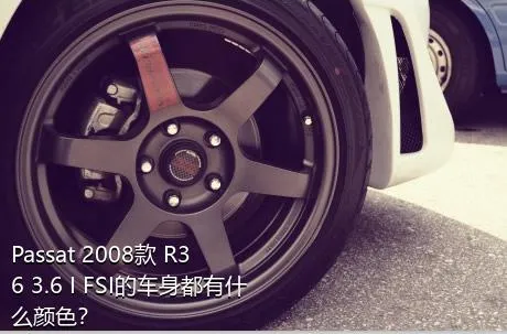 Passat 2008款 R36 3.6 I FSI的车身都有什么颜色？