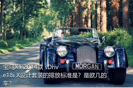 宝马X1 2014款 sDrive18i X设计套装的排放标准是？是欧几的车？