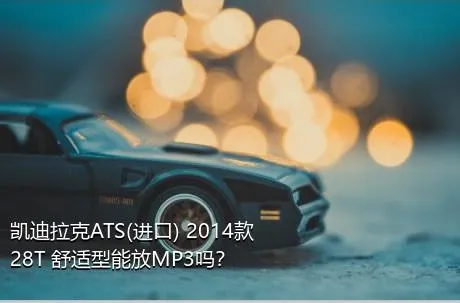 凯迪拉克ATS(进口) 2014款 28T 舒适型能放MP3吗？
