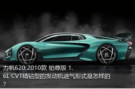 力帆620 2010款 铂尊版 1.6L CVT精钻型的发动机进气形式是怎样的？