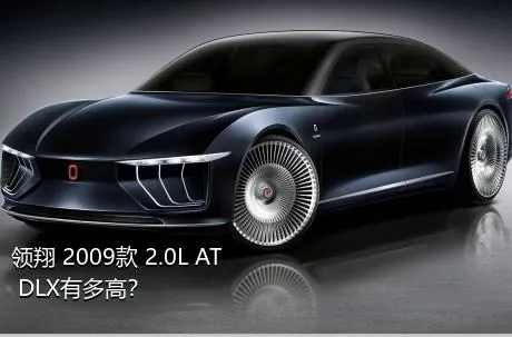 领翔 2009款 2.0L AT DLX有多高？