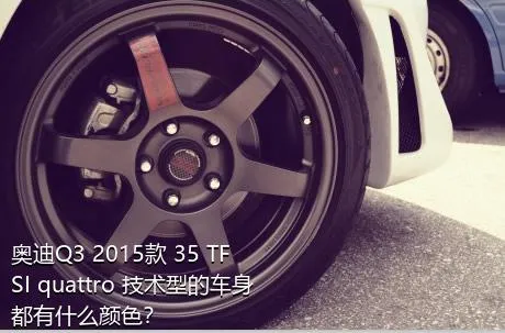 奥迪Q3 2015款 35 TFSI quattro 技术型的车身都有什么颜色？