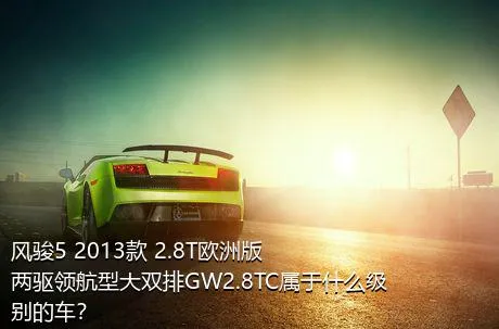 风骏5 2013款 2.8T欧洲版 两驱领航型大双排GW2.8TC属于什么级别的车？