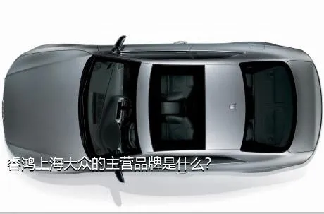 睿鸿上海大众的主营品牌是什么？