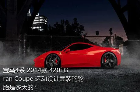 宝马4系 2014款 420i Gran Coupe 运动设计套装的轮胎是多大的？
