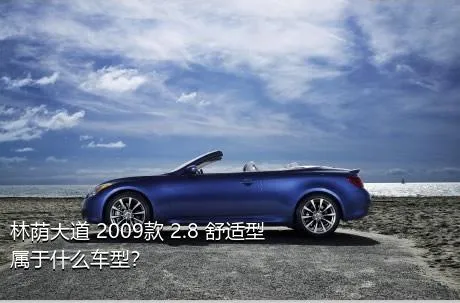 林荫大道 2009款 2.8 舒适型属于什么车型？