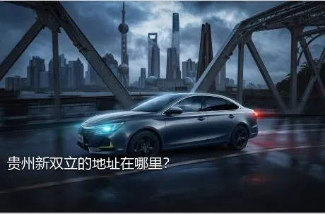 贵州新双立的地址在哪里？