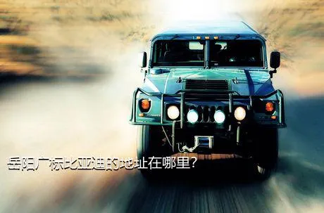 岳阳广标比亚迪的地址在哪里？