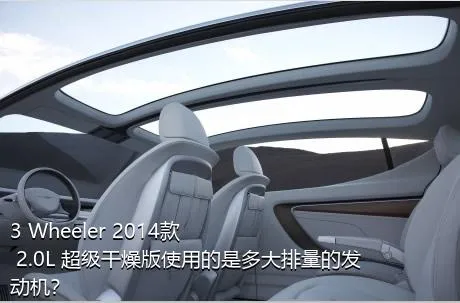 3 Wheeler 2014款 2.0L 超级干燥版使用的是多大排量的发动机？