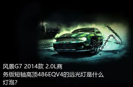 风景G7 2014款 2.0L商务版短轴高顶486EQV4的远光灯是什么灯泡？