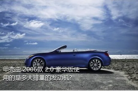 甲壳虫 2006款 2.0 豪华版使用的是多大排量的发动机？