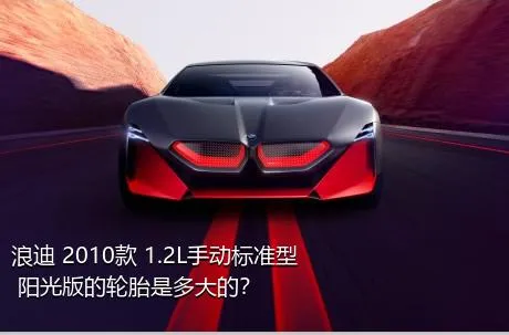 浪迪 2010款 1.2L手动标准型 阳光版的轮胎是多大的？