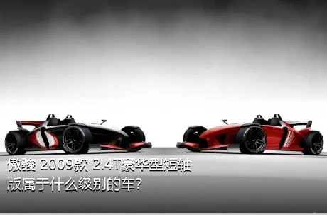 傲骏 2009款 2.4T豪华型短轴版属于什么级别的车？