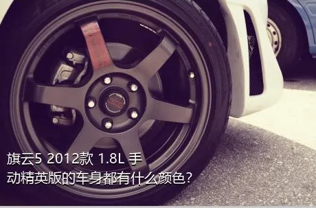 旗云5 2012款 1.8L 手动精英版的车身都有什么颜色？