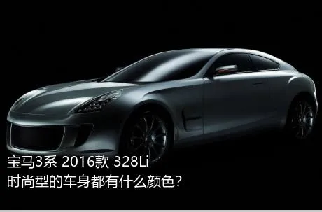 宝马3系 2016款 328Li 时尚型的车身都有什么颜色？
