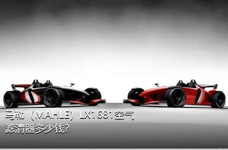 马勒（MAHLE）LX1681空气滤清器多少钱？