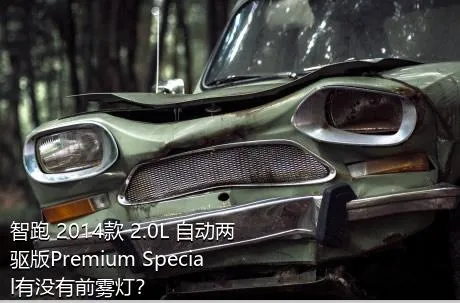智跑 2014款 2.0L 自动两驱版Premium Special有没有前雾灯？