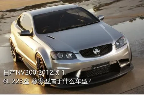 日产NV200 2012款 1.6L 223座 尊贵型属于什么车型？