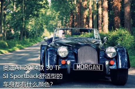 奥迪A1 2014款 30 TFSI Sportback舒适型的车身都有什么颜色？