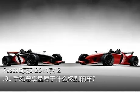 Passat领驭 2011款 2.0L 手动尊享型属于什么级别的车？