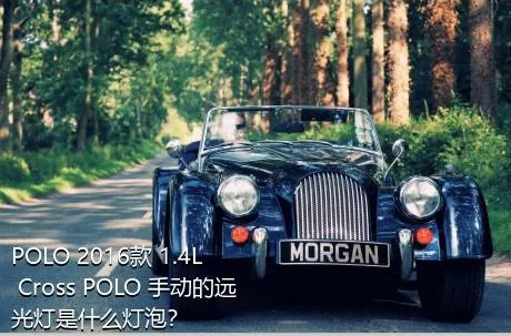 POLO 2016款 1.4L Cross POLO 手动的远光灯是什么灯泡？