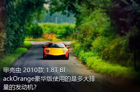 甲壳虫 2010款 1.8T BlackOrange豪华版使用的是多大排量的发动机？