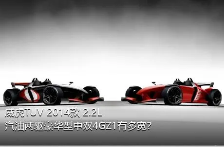 威虎TUV 2014款 2.2L汽油两驱豪华型中双4GZ1有多宽？